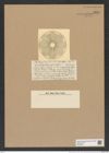 Actinoptychus parda Castr. (de-Toni-Nr.: Genus 227, Species 5629) Zeichnungen Sammlung Grunow Nr. 9517 (NHMW-BOT-W0379504)